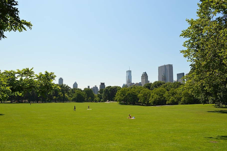 Central Park and the New York City skyline